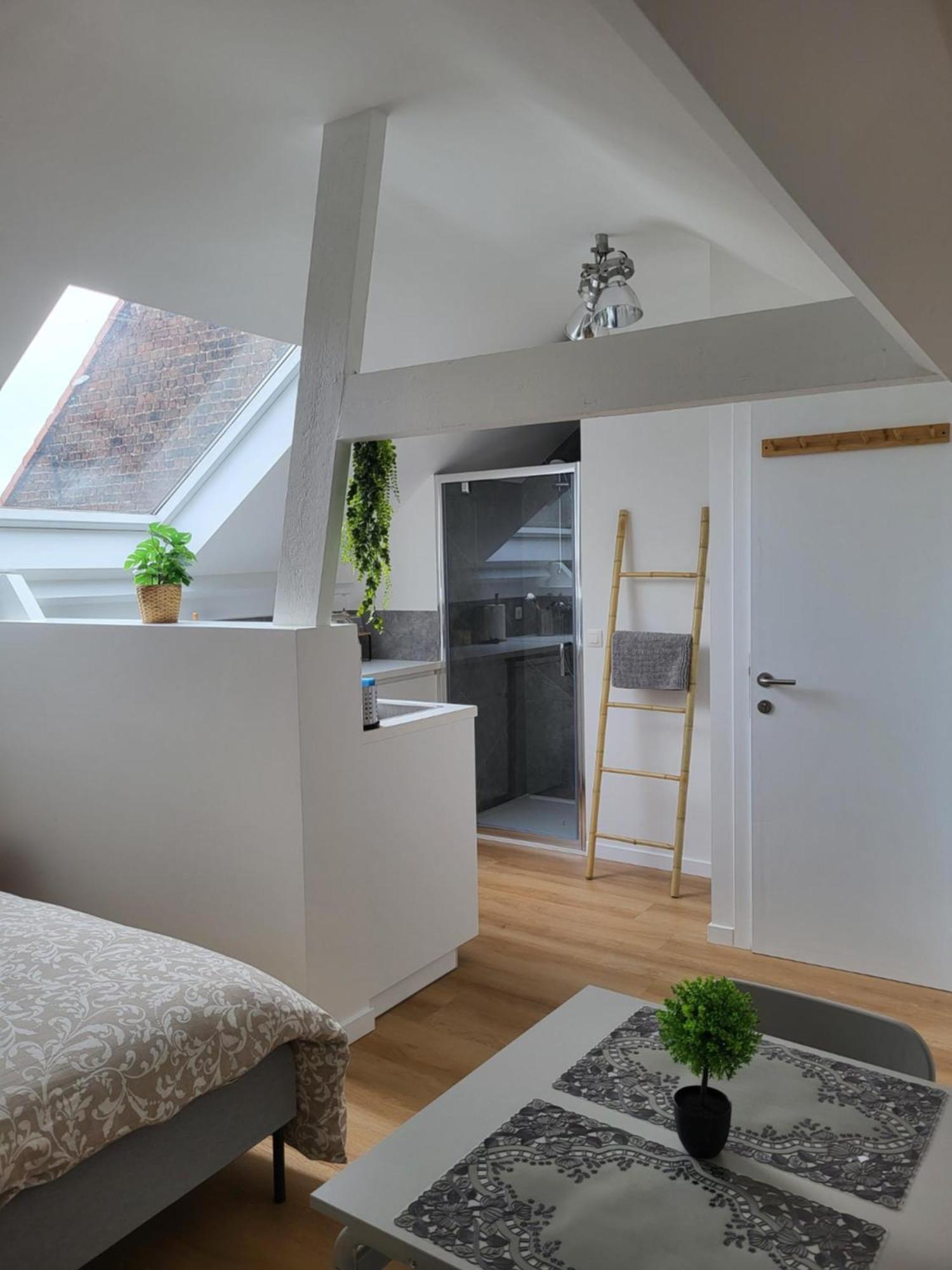 Studios Idealement Situes - Eu Etterbeek Экстерьер фото