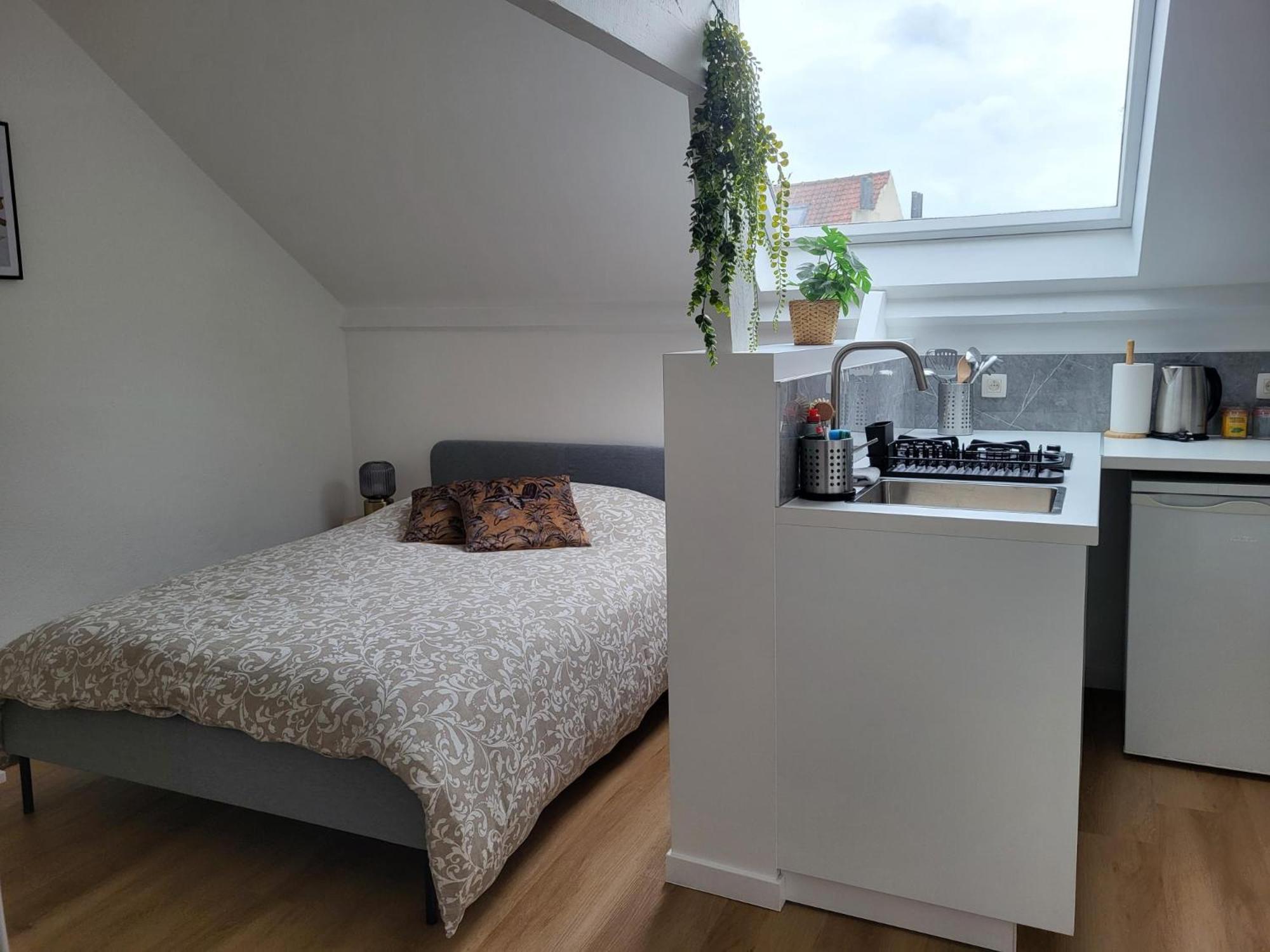 Studios Idealement Situes - Eu Etterbeek Экстерьер фото